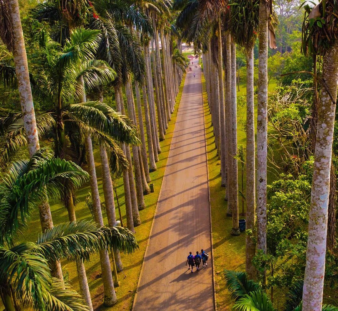 6 Days / 5 Nights Tour image 4