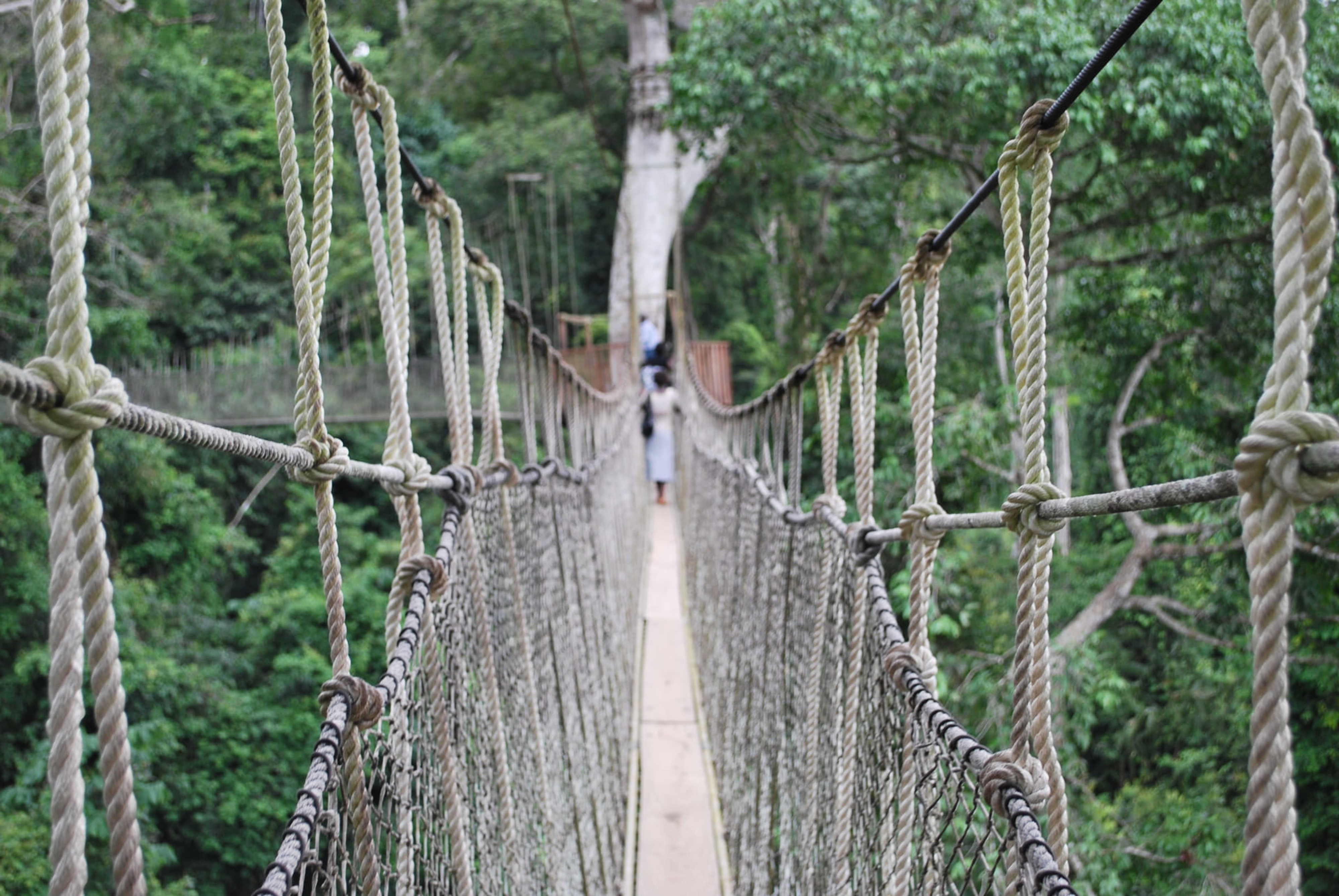 8 Days Guided Cultural Tour of Ghana image 1