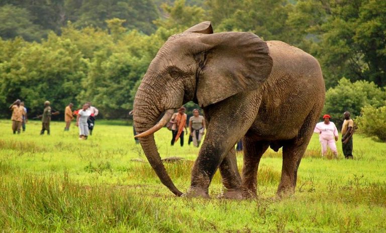 8 Days Guided Cultural Tour of Ghana image 3