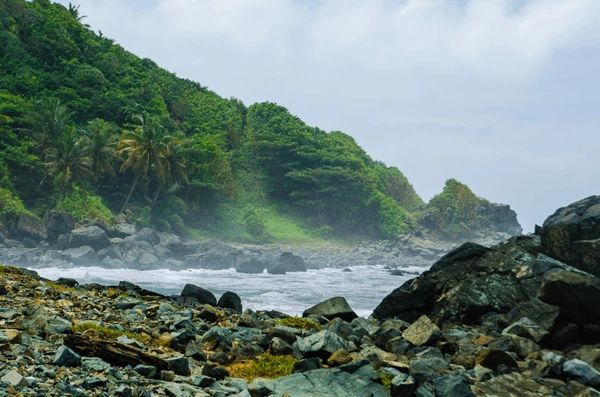 Golden Escapade image 2