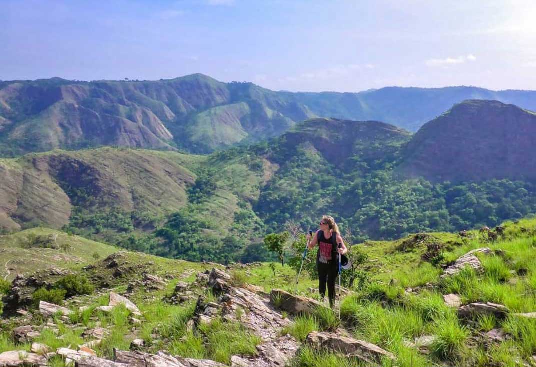 Golden Escapade image 5